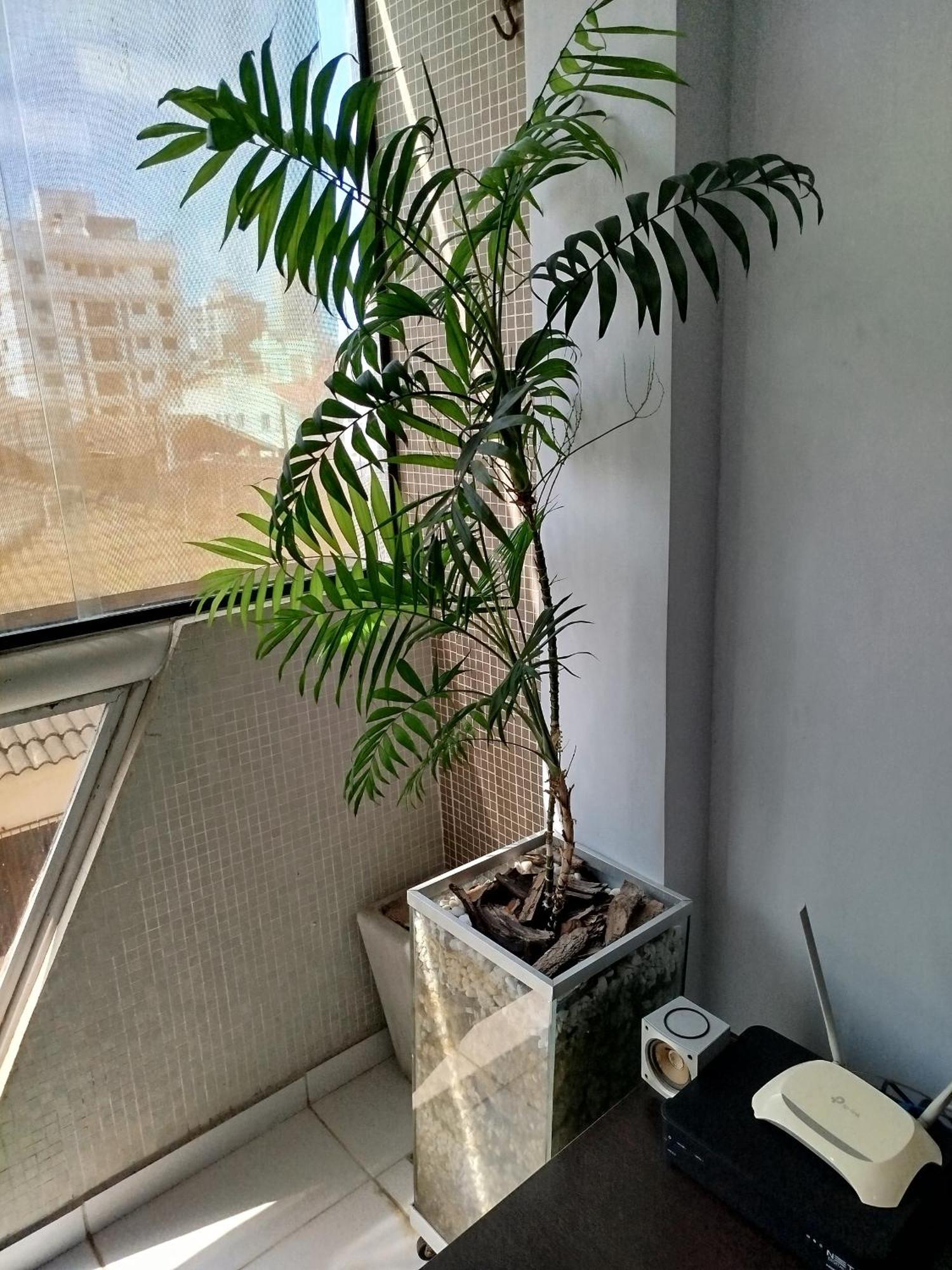 Apartamento Impecavel Na Enseada Guarujá Buitenkant foto
